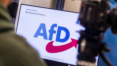AfD, partidul de extremă dreapta, devansează conservatorii lui Merz într-un sondaj record