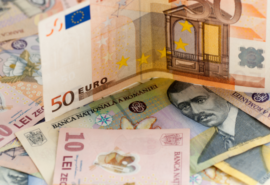 Doi membri din board-ul BNR după relansarea dezbaterii despre trecerea la euro: am cumpărat tehnologia să tipărim bancnotele euro, dar nu asta e problema