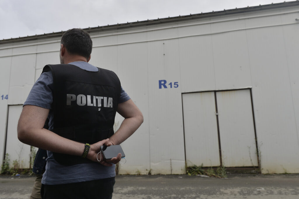 Percheziții în 6 județe: 20 de descinderi pentru infracțiuni în silvicultură