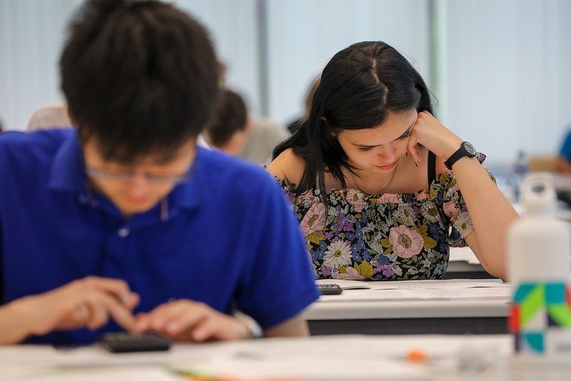Simulare Bac Română: „Un cap de păsărică” și „albinele aduc învierea”