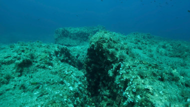 Oxigenul întunecat găsit în adâncurile marine sfidează legile fizicii