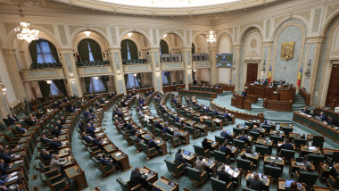 Senatul schimbă regulile: acțiune penală de urgență în caz de abandon familial
