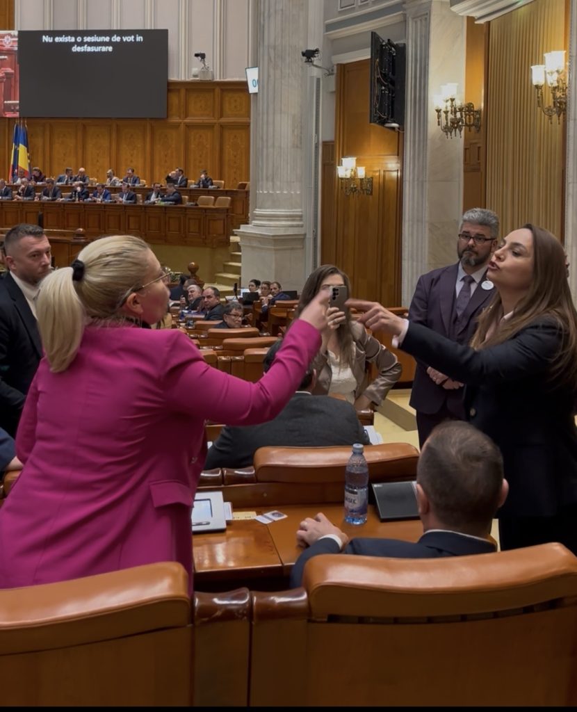 Scandal în Parlament: Anamaria Gavrilă, revoltată, cere liniște într-o dezbatere