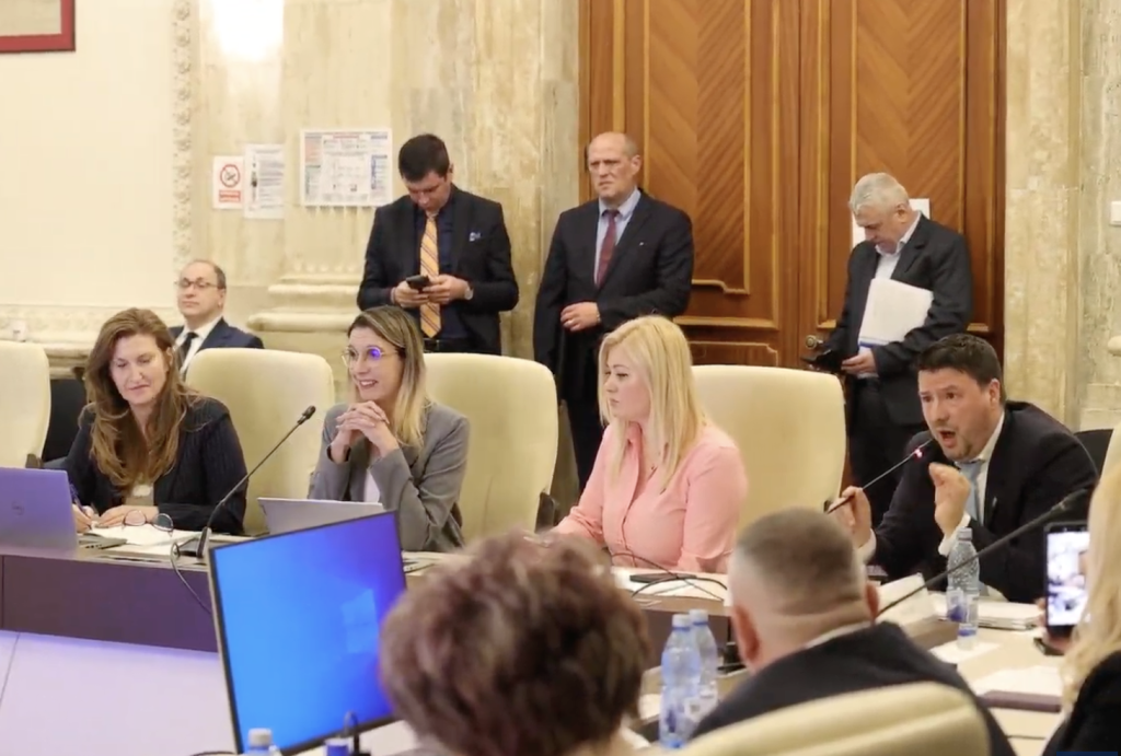 Atacuri în rafală la Diana Buzoianu, în dezbaterea bugetului: „Țipatul nu crește bărbăția
