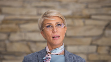 Turcan cere scuze pentru Horga de la Câciu: „Nu e diferit de violența domestică