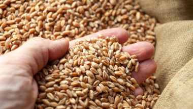 România exportă cereale în China în două luni, anunță ministrul Agriculturii