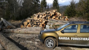 Ministrul Mediului: Controale în creștere după schimbarea conducerii Gărzii Forestiere