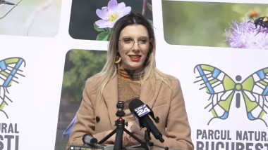 Pădurea Băneasa, pe lista ariilor protejate: anunțul Dianei Buzoianu