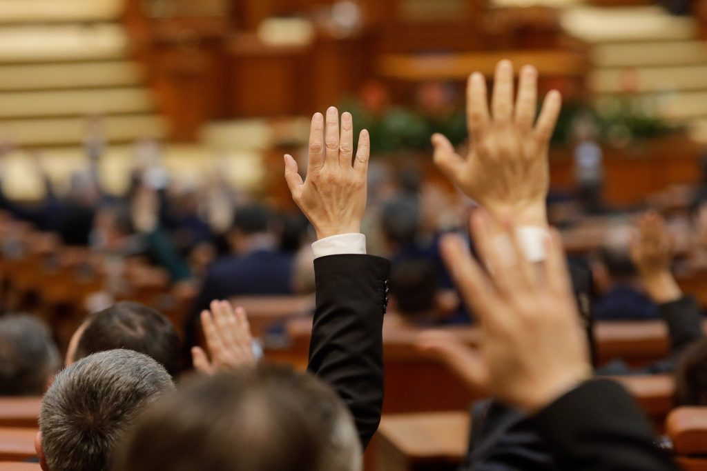 Parlamentarii votează noaptea târziu fonduri pentru asociația anti-avort: „Nu știam ce votăm