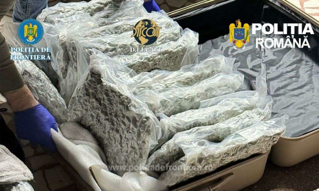 Italian oprit la Nădlac cu 31 kg de canabis în trolere