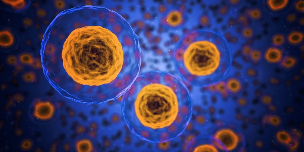 Bacteria comună devine „vânător” de tumori și eliberează medicamente anticancer