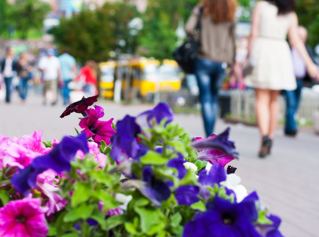 Vremea în București: Ploi și până la 18°C în ultima săptămână din martie