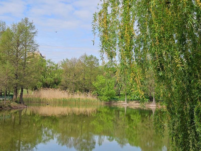 Vremea de Paște: Prognoza meteo pentru următoarele patru săptămâni