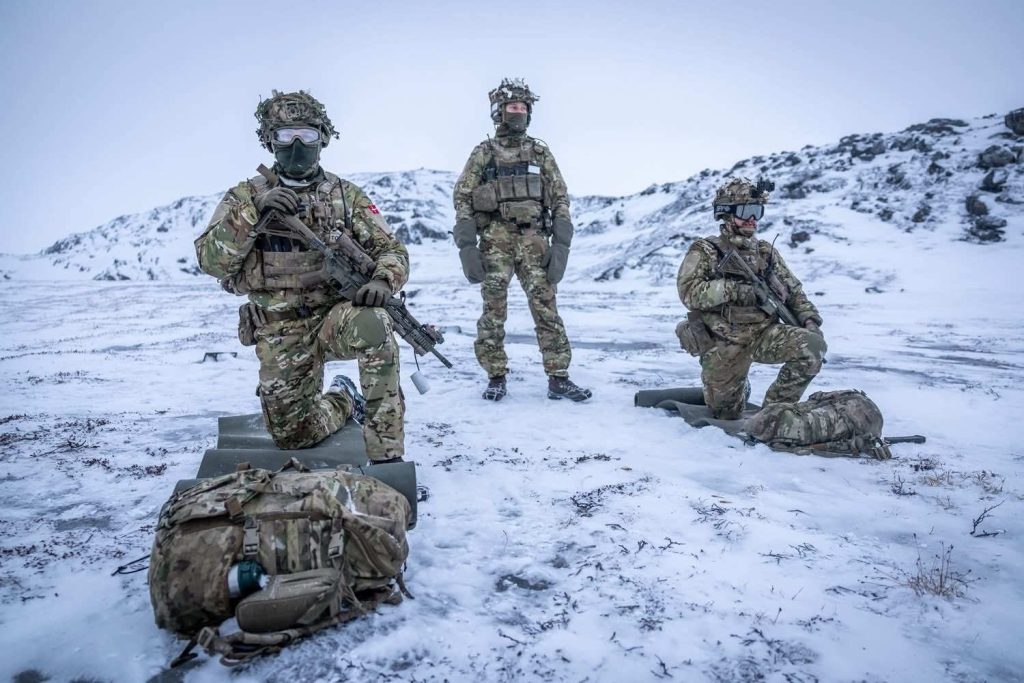 Militarii danezi, echipați pentru luptă, ajung în Groenlanda cu sânge și explozibili