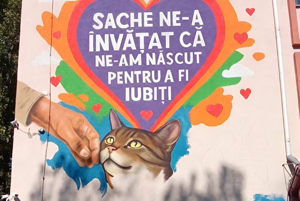 De la subsol la mural, povestea emoționantă a Lunei, pisica-mascotă a școlii