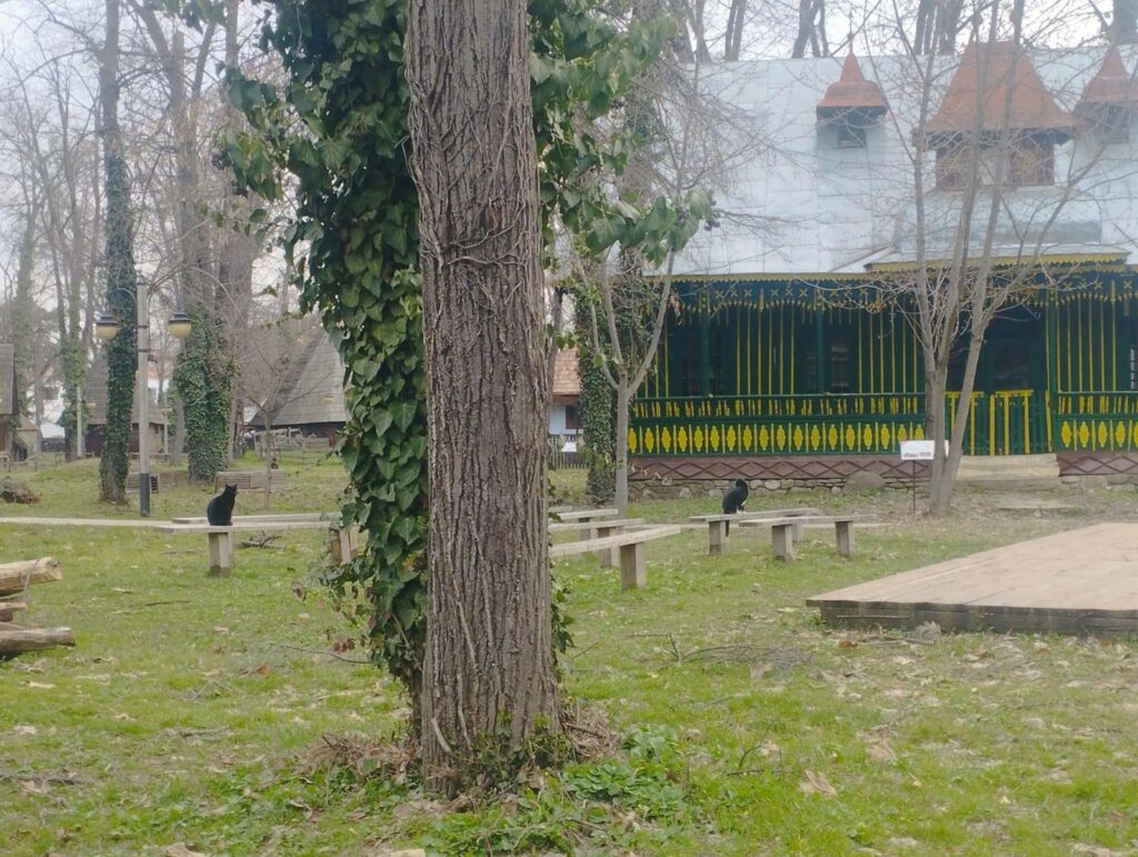 Muzeul Satului își schimbă programul de vară: detalii despre orar de Paște și zile închise