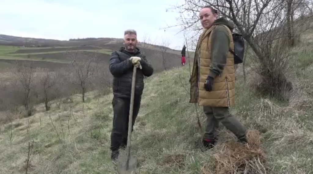 Mii de copaci plantaţi în România: un localnic de pe Valea Ulieșului dezvăluie reţeta de regenerare a naturii