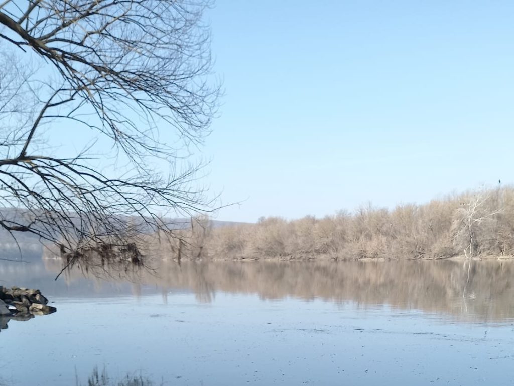 Falsuri și manipulări despre poluarea Nistrului: Rusia, acuzată după dezastru ecologic
