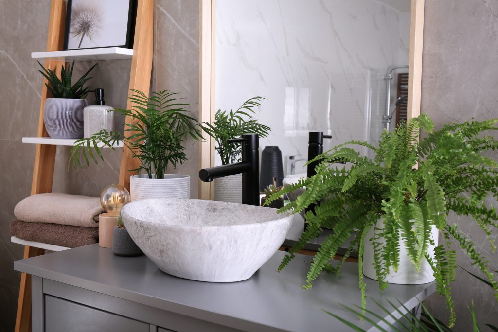 10 Plante de Baie Surprinzătoare care Iubesc Umiditatea și Transformă Baia într-un Spa