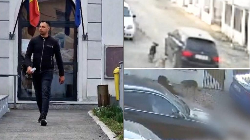 Subofițer MApN care a ucis un câine, lăsat în libertate, stârnește revoltă