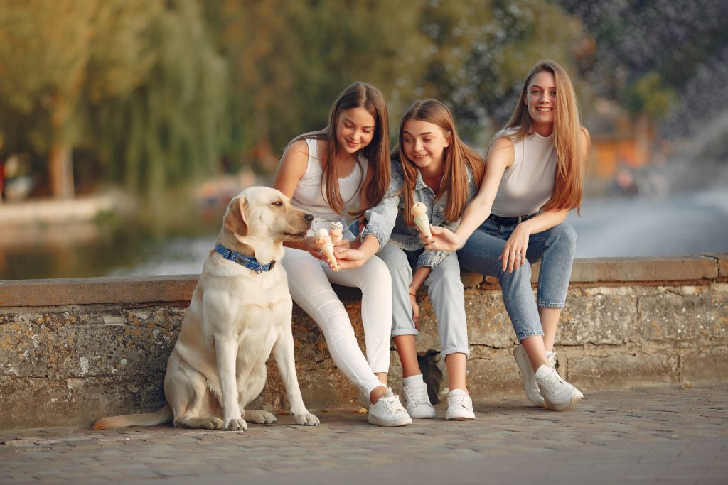Generația Z pune sănătatea emoțională a câinilor pe primul loc