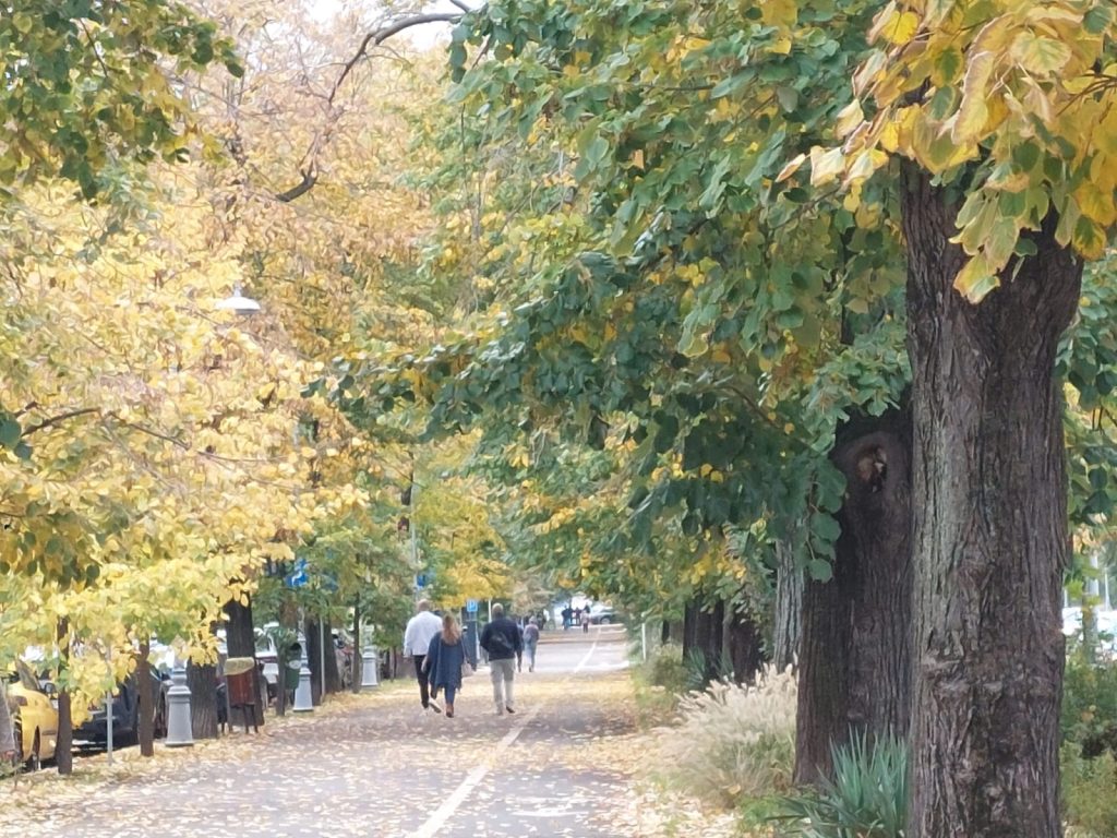 Primarul din Buzău vrea parc în cartierul romilor, unde cimitirul e locul de joacă