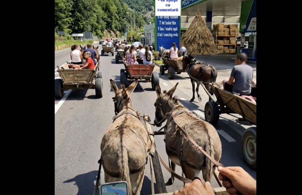 Valea Oltului în viitor: Măgarii înlocuiesc mașinile, fânul și apa – noile combustibili