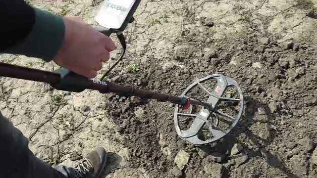 Comori rare descoperite în Neamț cu detectoare de metale