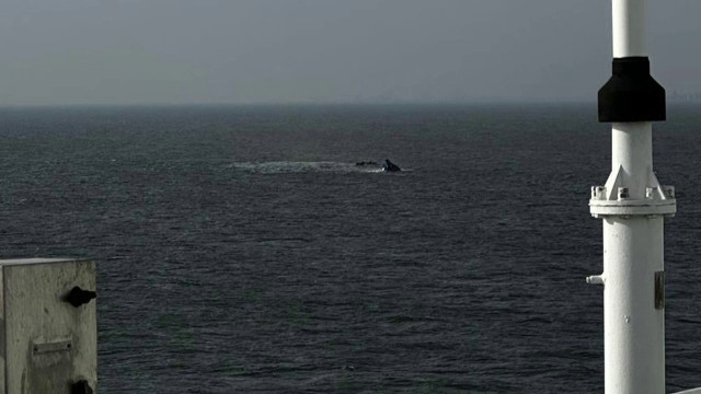 Ruda marinarului dispărut acuză probleme tehnice la scufundarea remorcherului în Portul Midia