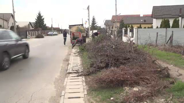 Amenzi de până la 100.000 de lei pentru arderea uscăturilor în primăvară
