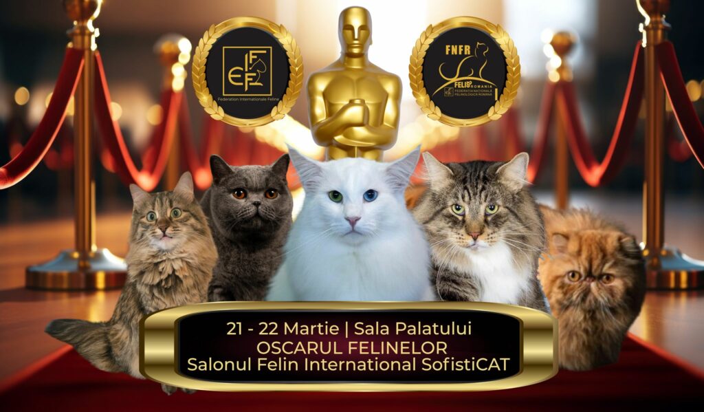 București, gazda „Oscarurilor feline” – campioni europeni la Salonul SofistiCAT