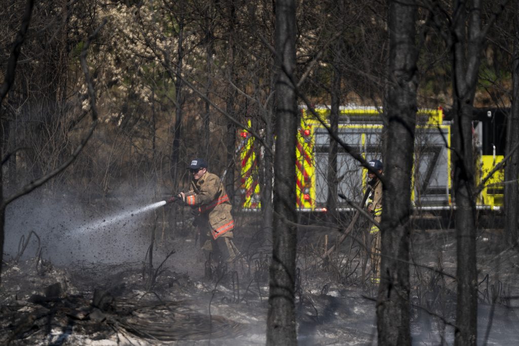 SUA: Incendii devastatoare în sud-est, evacuări în masă și zeci de case distruse