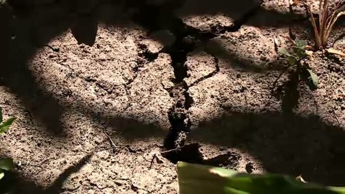 Canicula și seceta, dublu pericol: se vor suprapune mai des până în 2100