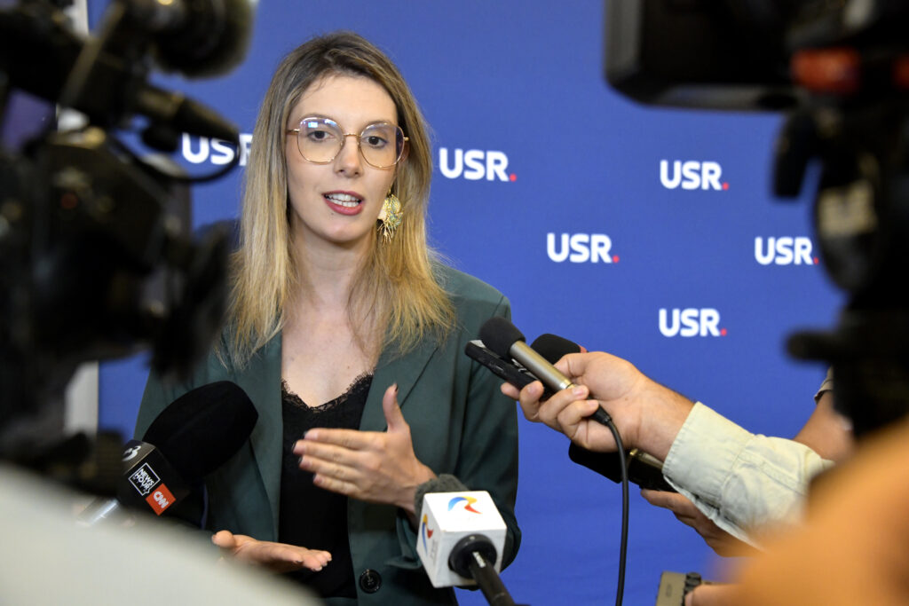 Diana Buzoianu anunță măsuri dure: tăierea arborilor devine infracțiune