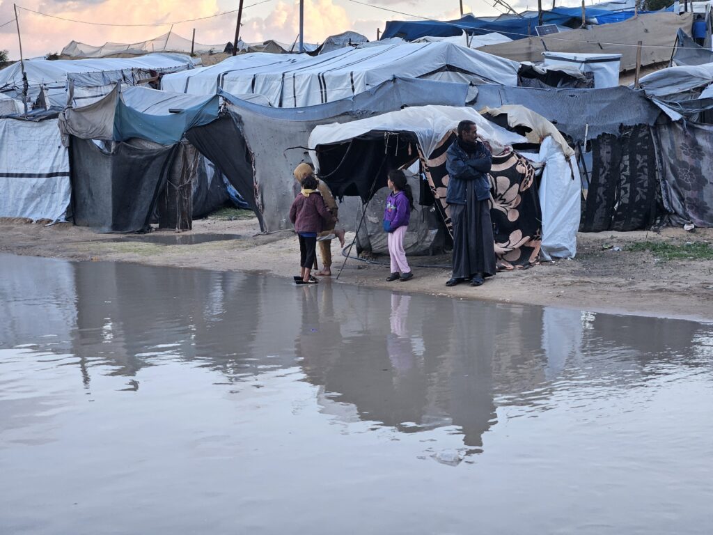 Șobolani cât iepurii atacă oamenii în a doua linie a frontului din Gaza