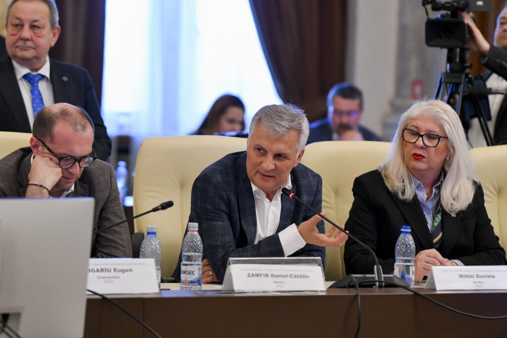 PSD lansează ofensiva în Senat pentru protecția companiilor de stat profitabile