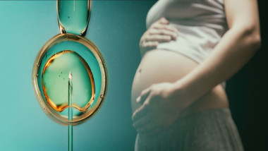Guvernul aprobă programul de fertilizare in vitro: cine primește voucherele de 15.000 lei