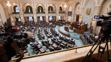 Senatul accelerează: interzicerea vânzării activelor statului până în 2027, pe ordinea de zi