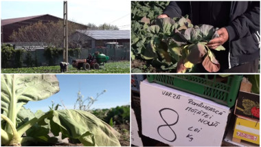 Vremea distruge vara de primăvară în Dolj. Agricultorii: „Rămânem cu ea pe câmp