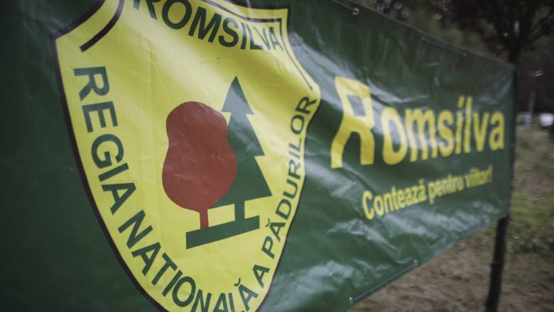 Federația Silva protestează la Guvern: Reformele actualului Guvern ne aduc în sărăcie!