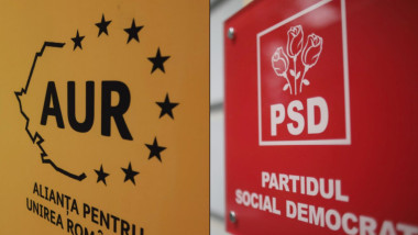 Piperea: „Auriștii” PSD, o aripă contra userizării, Manda și Olguța pe aceeași linie