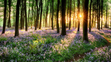 Vreme rece de 1 Mai, anunță meteorologii. Prognoza pentru patru săptămâni