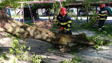 Vântul puternic a ucis o persoană și a doborât peste 100 de copaci în țară.