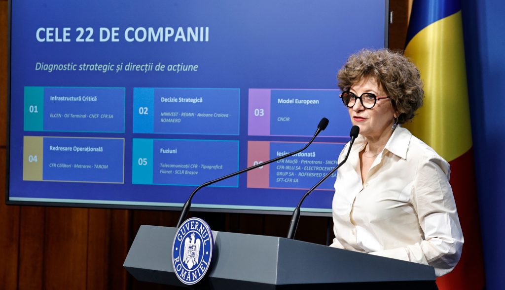 Oana Gheorghiu: Hoții au demontat conducta, dar statul plătește mii de euro anual