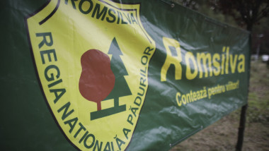 Reforma Romsilva: Instanța respinge suspendarea, Ministerul Mediului câștigă
