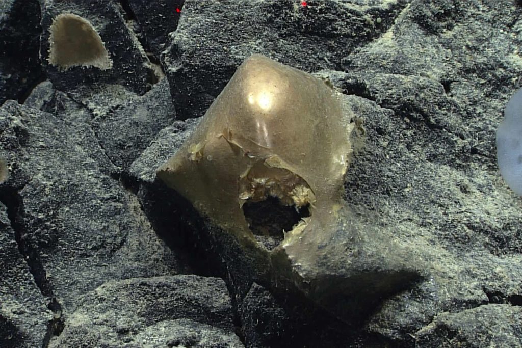 Misteriosa sferă de aur descoperită pe fundul oceanului, identificată după 2 ani