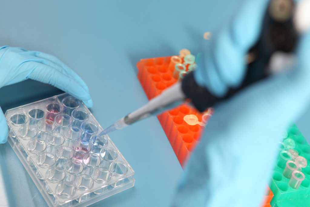 România sprijină cuplurile infertile: 15.000 lei pentru fertilizare in vitro