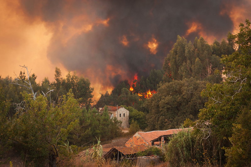 Incendiile devastatoare fac ravagii în sud-estul SUA, mii de oameni evacuați