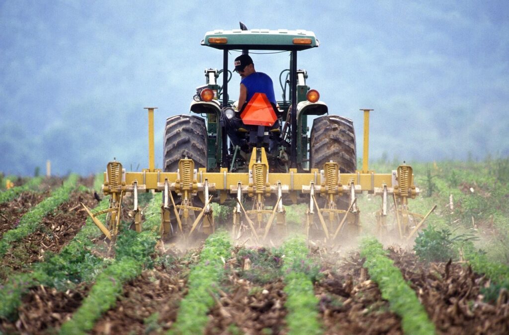 Doar 5% dintre fermierii români au studii superioare în agricultură