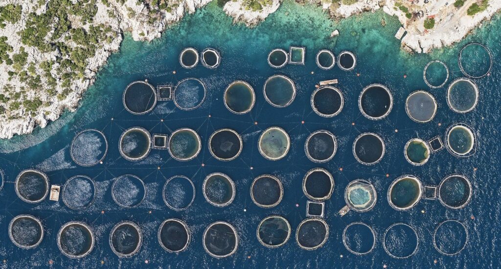 Grecia, criză ecologică: deșeuri din ferme ajung în mare